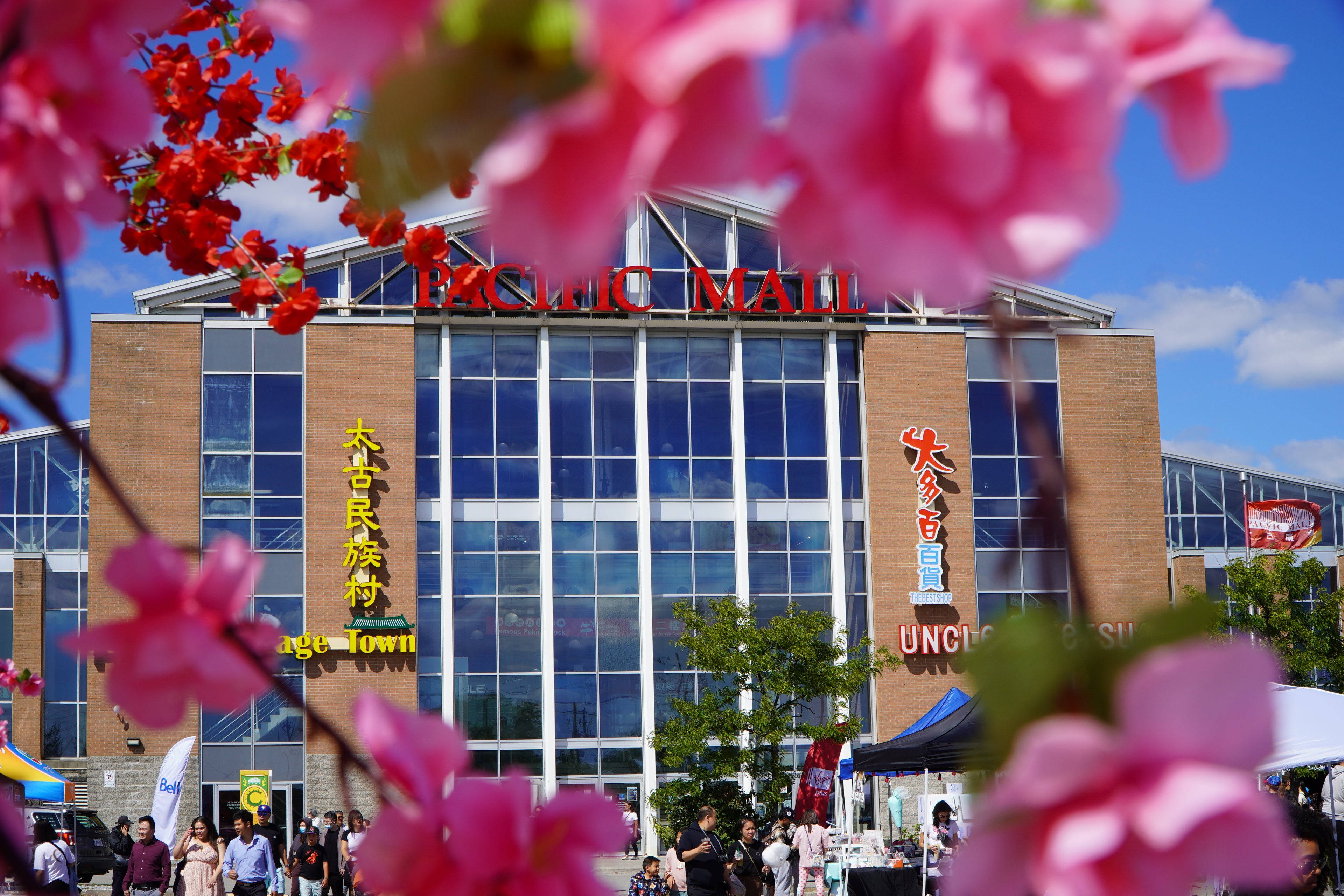 Mall exterior with 'Pinecrest Mall' sign, surrounded by pink flowers.