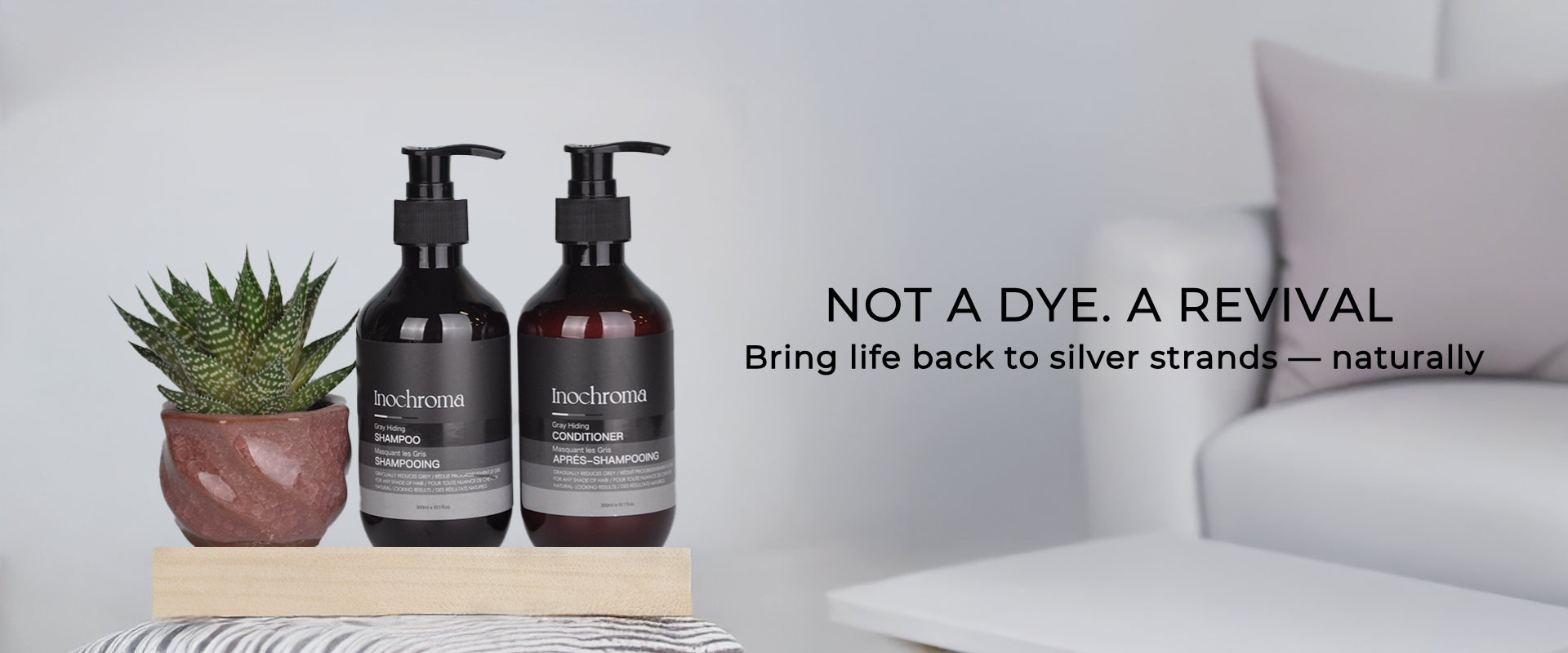 Two bottles of shampoo and conditioner on a wooden block with a cactus plant, text 'Not a Dye. A Revival' on a neutral background.